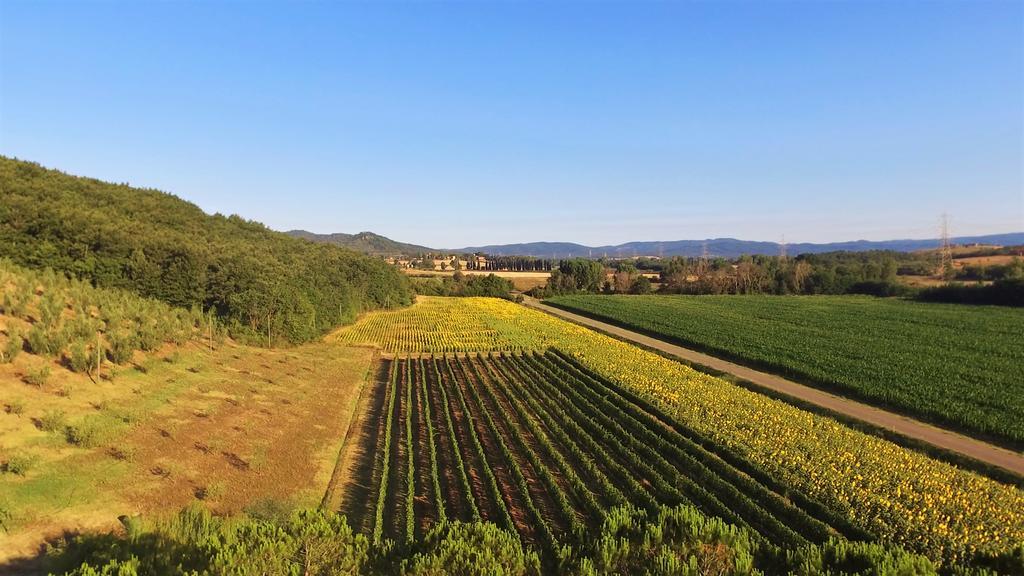 Agriturismo Podere Mulinaccio Ribolla Zewnętrze zdjęcie