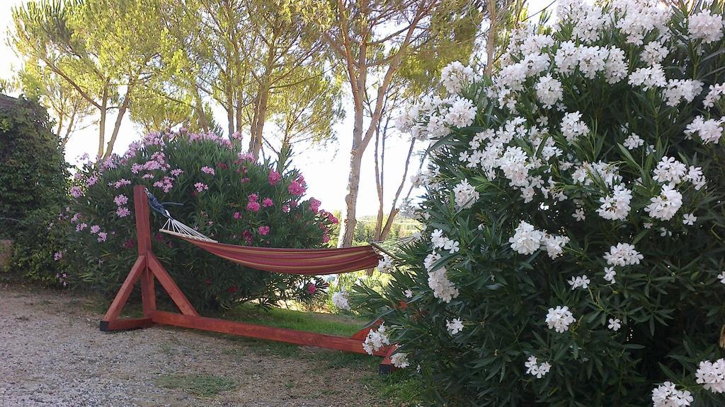 Agriturismo Podere Mulinaccio Ribolla Zewnętrze zdjęcie