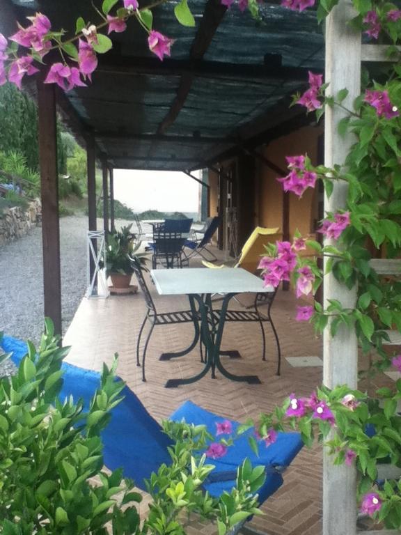 Agriturismo Podere Mulinaccio Ribolla Zewnętrze zdjęcie